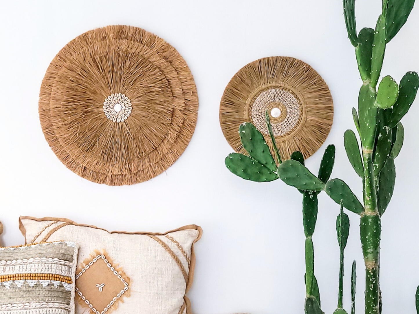 Exotische Wanddeko mit Muscheln für Wohnzimmer